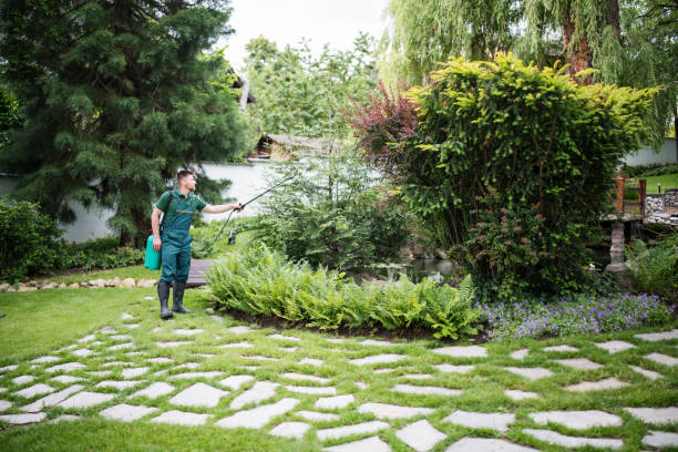 Pest Prevention Services in Mcdonald, PA