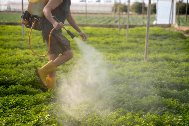 Pest Control Cost in Mcdonald, PA