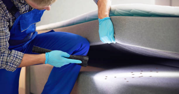 Wasp Removal Services in Mcdonald, PA